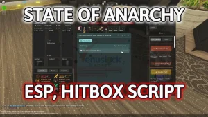 state of anarchy